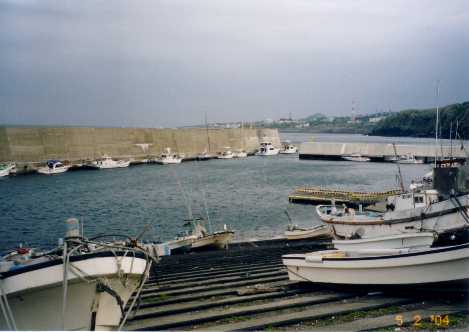 伊豆大島 野増港